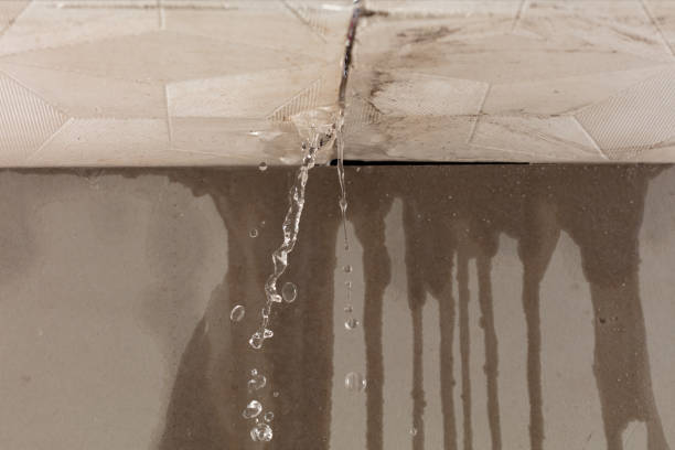 Professional Structural Drying technician working in Rochelle, VA